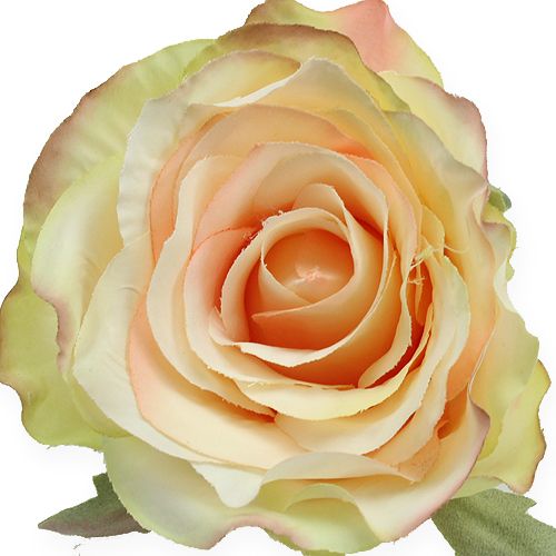 Floristik24 Künstliche Rosenköpfe Ø9cm 6St
