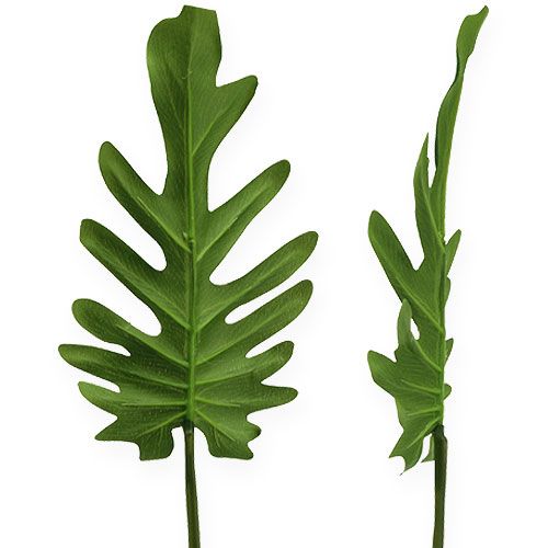 Floristik24 Dekoblätter Philodendron Grün B11cm L34cm 6St
