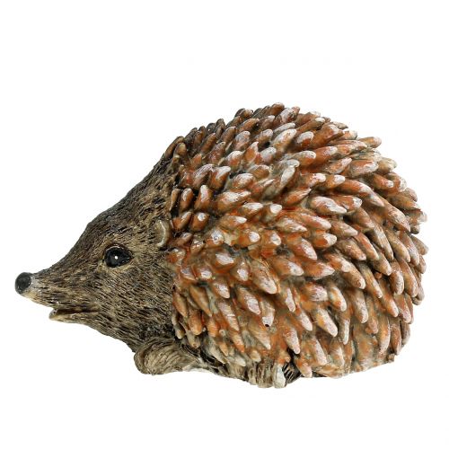 Floristik24 Dekofigur Igel Braun 6,5cm