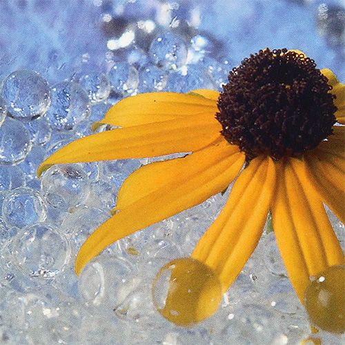 Floristik24 Dekogel Aqualinos 15g Transparent