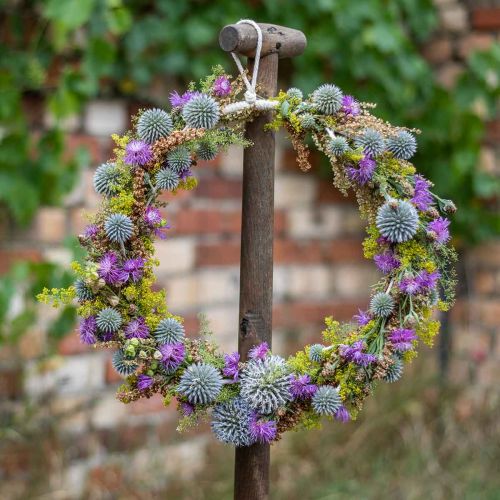 Floristik24 Dekoring zum Hängen, Fensterdeko, Wandschmuck Naturfarben Ø30cm 4St