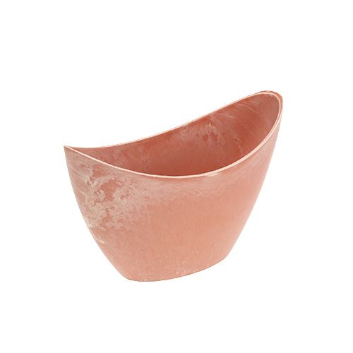 Floristik24 Dekoschale Hellorange 20cm x 9cm H11,5cm, 1St
