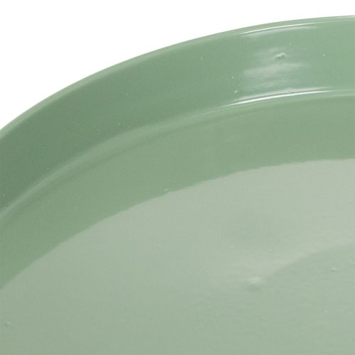 Dekoteller Metall Grün Rund 20 cm für Blumenarrangements | Floristik24.at