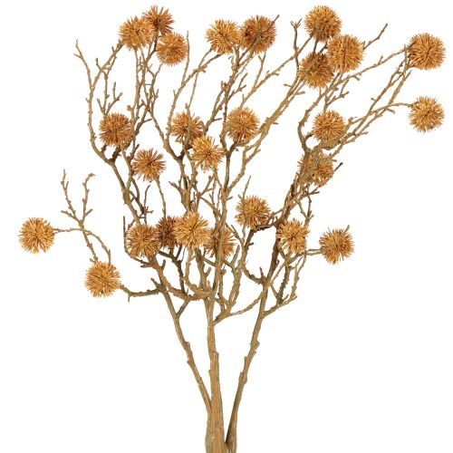 Floristik24 Dekozweig Amberbaum Baumfrüchte Deko Ockerbraun 48cm