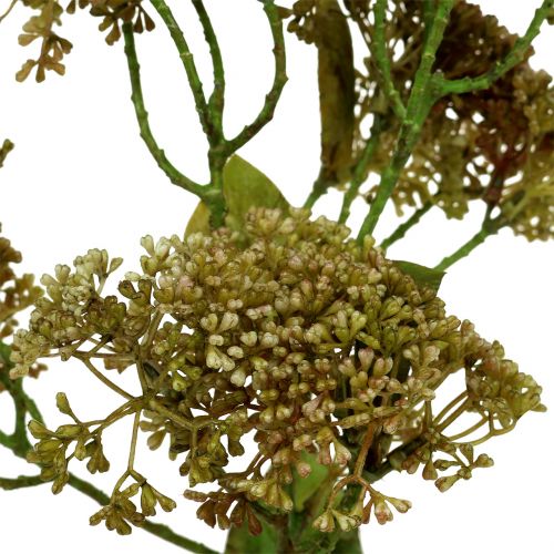 Floristik24 Dekozweig Fetthenne Grün 58cm