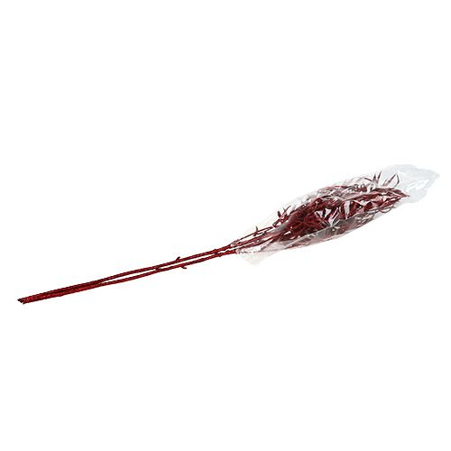 Floristik24 Dekozweig Rot mit Glimmer 69cm 2 St