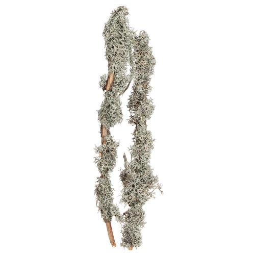 Artikel Dekozweige Graumoos Deko Zweige Flechtenzweige 30-60cm 1kg