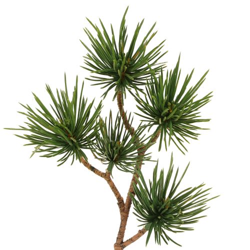 Artikel Dekozweige Pinie künstlich Pinienzweige Grün 28cm 6 St