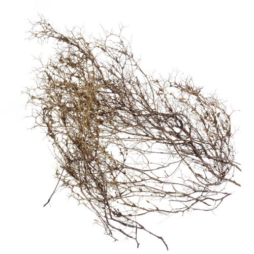 Floristik24 Dekozweige Iron Bush Zweige Naturdeko Holz Natur 250g