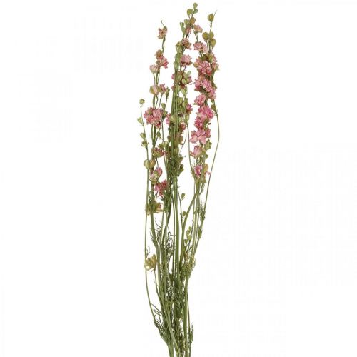 Floristik24 Trockenblume Rittersporn, Delphinium Rosa, Trockenfloristik L64cm 25g