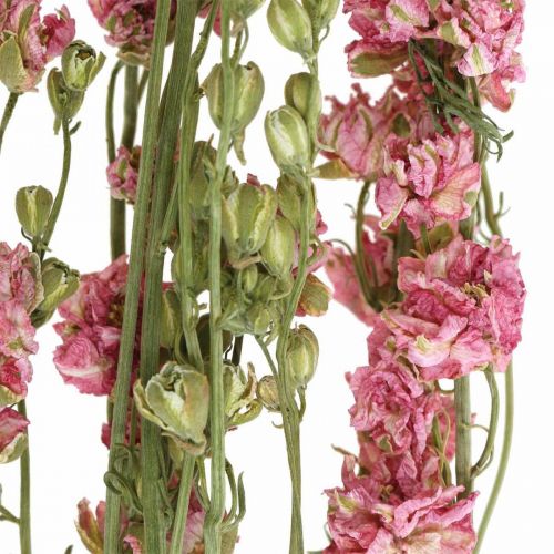Artikel Trockenblume Rittersporn, Delphinium Rosa, Trockenfloristik L64cm 25g