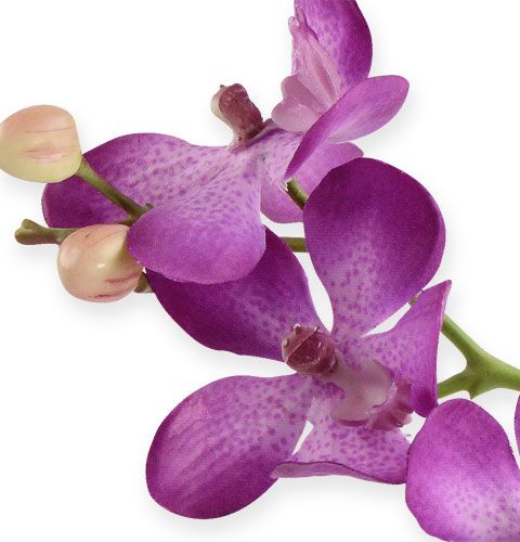 Floristik24 Orchidee Lila 38cm