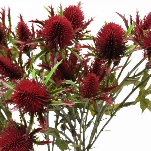 Floristik24 Distel Künstliche Blume Rot Burgund 10 Blütenköpfe 68cm 3St