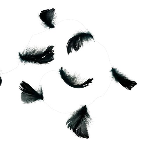 Floristik24 Draht mit Feder Schwarz 10m