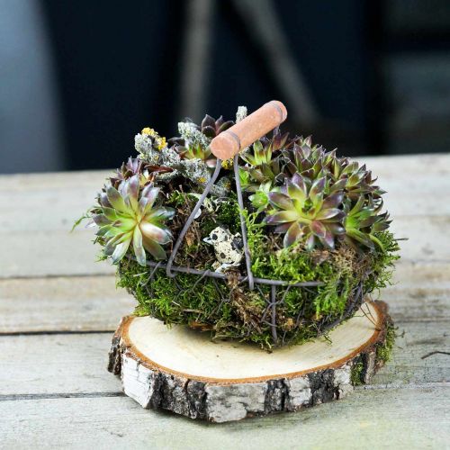 Floristik24 Drahtkorb oval mit Henkel Grau 17×11cm H15cm 2St