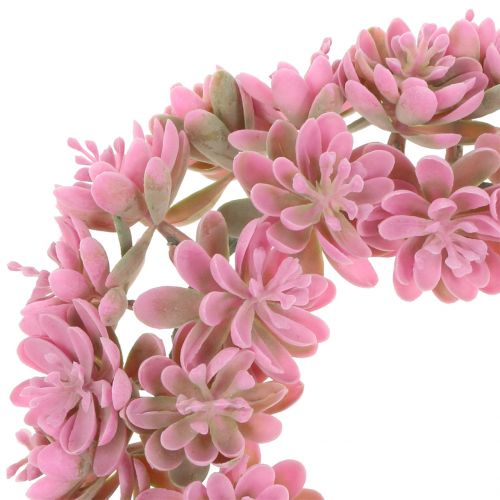 Floristik24 Echeverienkranz Rosa Ø18cm 4St