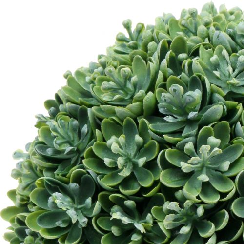 Floristik24 Echeveria Kugel künstlich Grün Ø18cm
