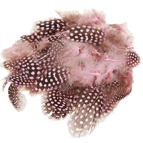 Artikel Echte Perlhuhnfedern Federn Rosa mit Punkten 4-12cm 100 St