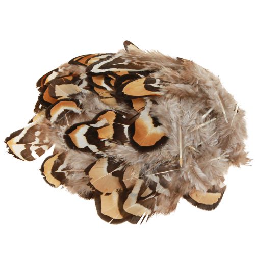 Echte Vogelfedern Deko Federn gestreift 3-4cm 60 St
