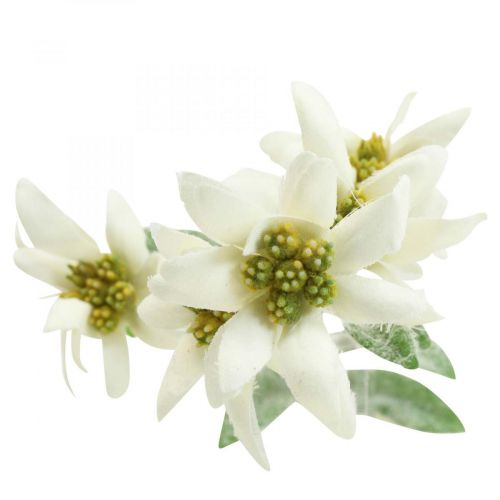 Artikel Edelweiß Kunstblume Weiß beflockt 38cm
