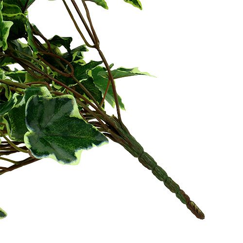 Floristik24 Efeuhänger Weiß-Grün 70cm