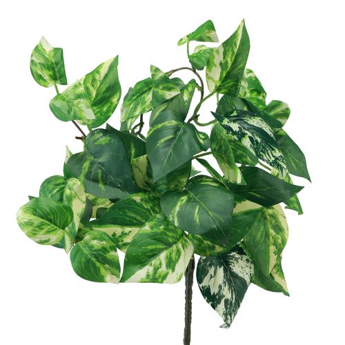 Artikel Efeutute Pothos Efeu künstlich Goldranke 50cm