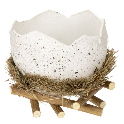 Floristik24 Osternest Schale in Eioptik für Frühlingsdekoration 11cm 4St