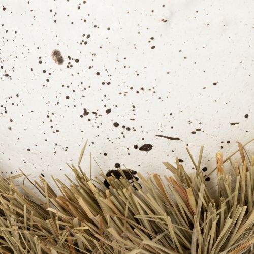 Artikel Osternest Schale in Eioptik für Frühlingsdekoration 11cm 4St