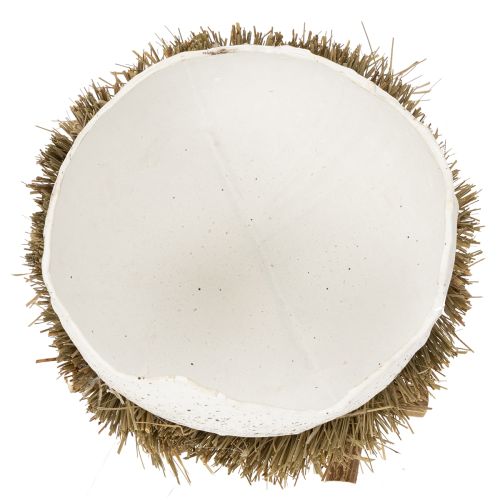 Artikel Osternest Schale in Eioptik für Frühlingsdekoration 11cm 4St