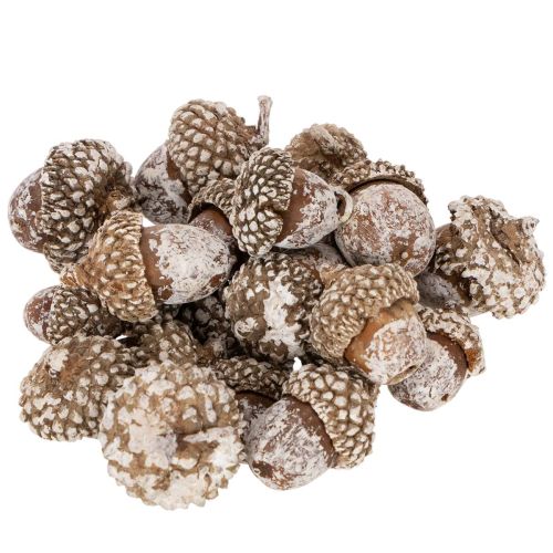 Eicheln aus Naturmaterial, weiß gewaschen, 1–3 cm, 300 g, für Dekoration