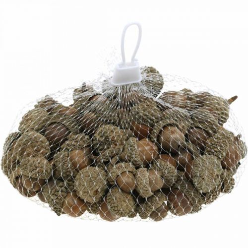 Artikel Eicheln zum Dekorieren, Herbstdeko, Herbstfrüchte natürlich Ø1,5 – 2,5cm L1,5 – 3cm 300g