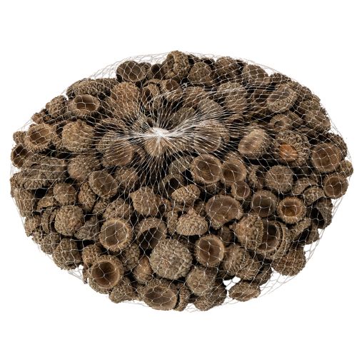Eichelkappen natur 2cm braun 300g Dekoration Herbst Advent | Floristik24.at
