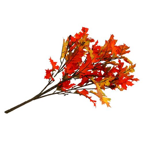 Floristik24 Eichenlaubbusch orange 56cm