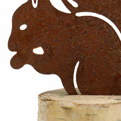 Floristik24 Eichhörnchen Edelrost auf Stamm H22cm