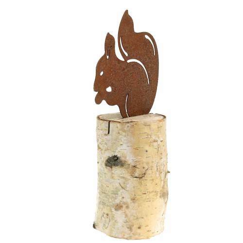 Floristik24 Eichhörnchen Edelrost auf Stamm H22cm