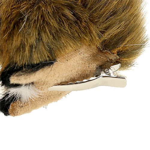 Floristik24 Eichhörnchen am Clip 8cm sortiert farbig 3St