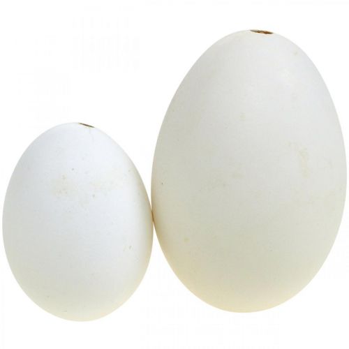 Artikel Schwaneneier & Hühnereier Mix Ausgeblasene Eier Weiß 5,5/8cm 9St