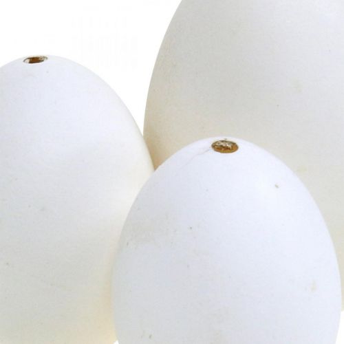 Artikel Schwaneneier & Hühnereier Mix Ausgeblasene Eier Weiß 5,5/8cm 9St