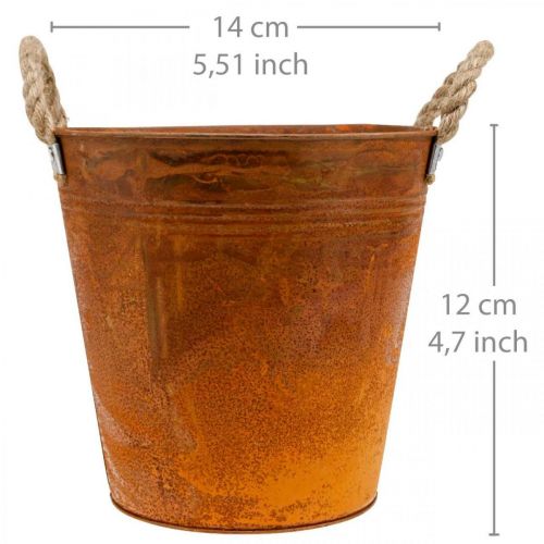 Floristik24 Pflanztopf, Herbstdeko, Metallgefäß mit Edelrost Ø14cm H12cm
