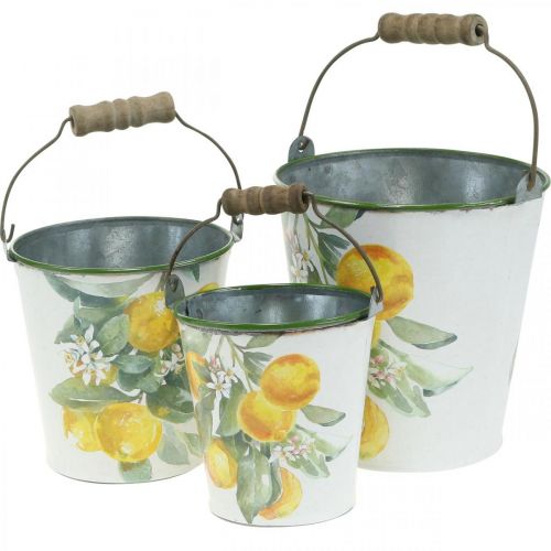 Floristik24 Deko-Eimer Zitronen Mediterranes Pflanzgefäß Ø13,5/11/9cm H14/11,5/cm 3er-Set