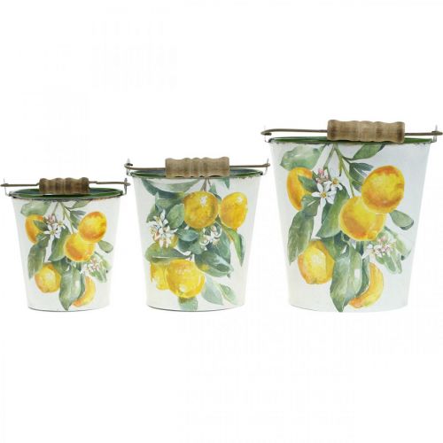 Floristik24 Deko-Eimer Zitronen Mediterranes Pflanzgefäß Ø13,5/11/9cm H14/11,5/cm 3er-Set