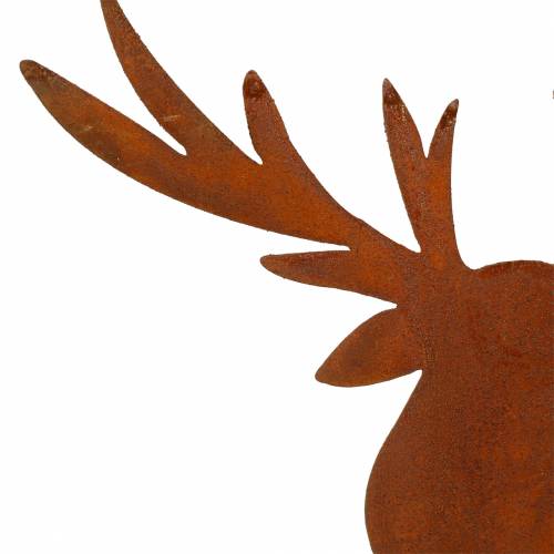Floristik24 Elch Edelrost zum Stecken H58cm
