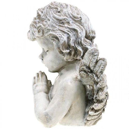 Floristik24 Betender Engel, Trauerfloristik, Büste Engelsfigur, Grabdeko H19cm B19,5cm