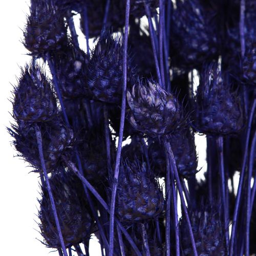 Artikel Erdbeerdisteln Trockendistel Distel Deko Violett 44-58cm 100g