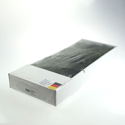 Floristik24 Erikamoos grün 750gr