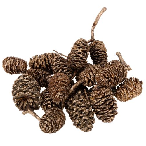 Goldene Erlenzapfen 3 cm Naturprodukt 300 g für Dekoration und Basteln