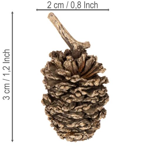 Goldene Erlenzapfen 3 cm Naturprodukt 300 g für Dekoration und Basteln | Floristik24.at