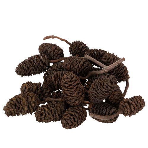 Erlenzapfen naturbelassen lose 3 cm 300 g naturbraun für Dekoration