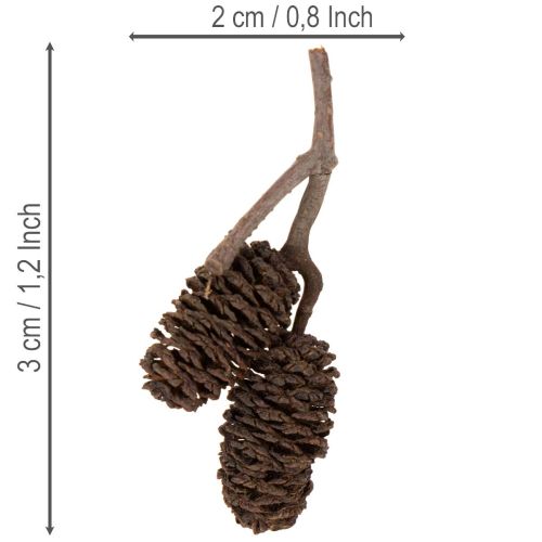 Erlenzapfen naturbelassen lose 3 cm 300 g naturbraun für Dekoration | Floristik24.at
