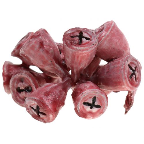 Eukalyptus Früchte gewachst Rot 250g